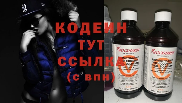 хмурый Арсеньев