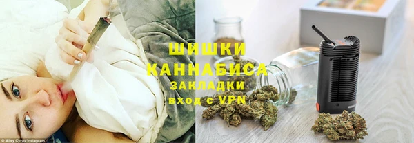 хмурый Арсеньев