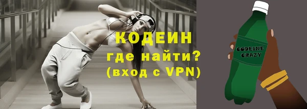хмурый Арсеньев