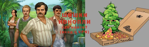 хмурый Арсеньев